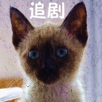 看剧小助手小程序